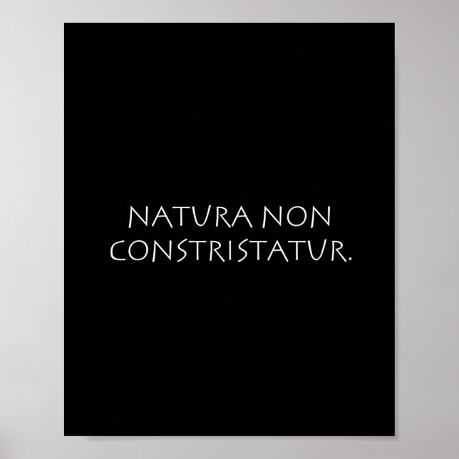 Poster Natura não constristatur (Frente)