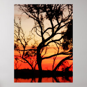 Poster natural-aladélico