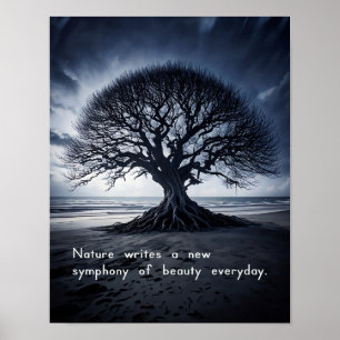 Poster Nature escreve uma nova sinfonia de beleza todos o