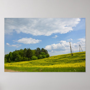 Poster Nature Landscape Canola Field Rural Belarus