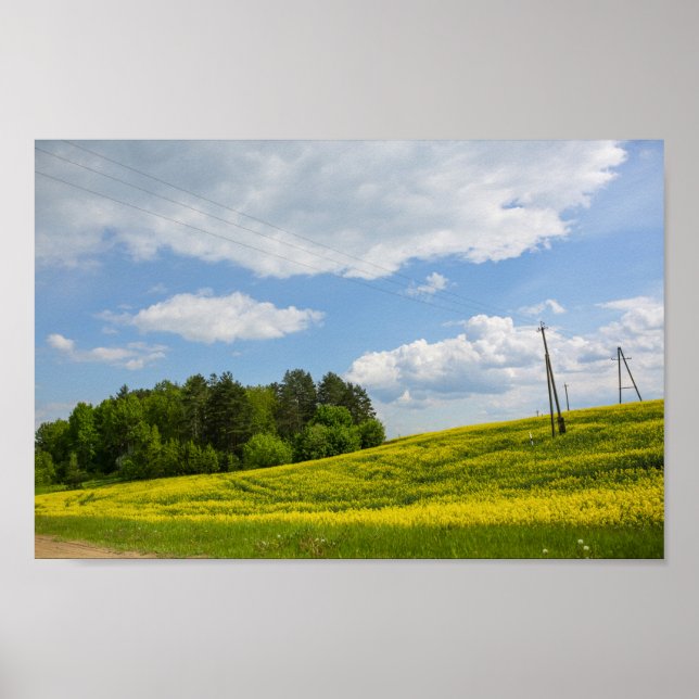 Poster Nature Landscape Canola Field Rural Belarus (Frente)
