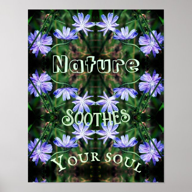 Poster Nature Soothes Wild Chicory Inspirational (Frente)