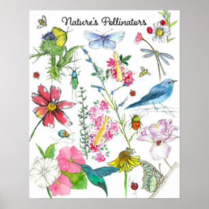 Poster Natures Pollinators Honeybeds Insetos Flores