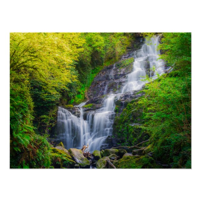 Póster Nature's Symphony: The Cascades of Killarney (Frente)