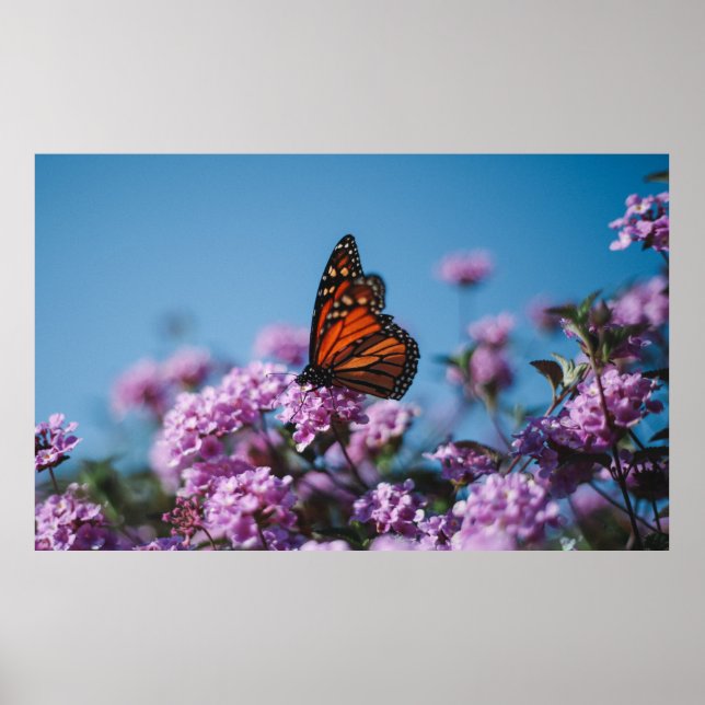 Poster Natureza (Frente)