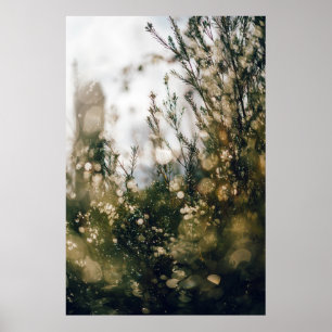 POSTER NATUREZA 