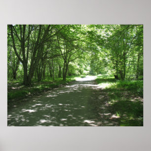 Poster Natureza