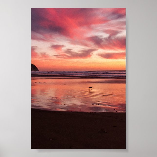 Poster Natureza (Frente)