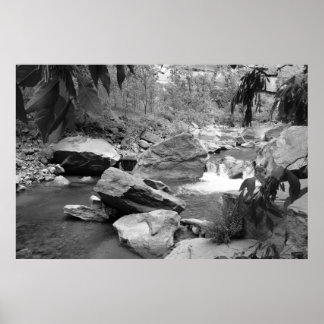 Póster Natureza a preto e branco