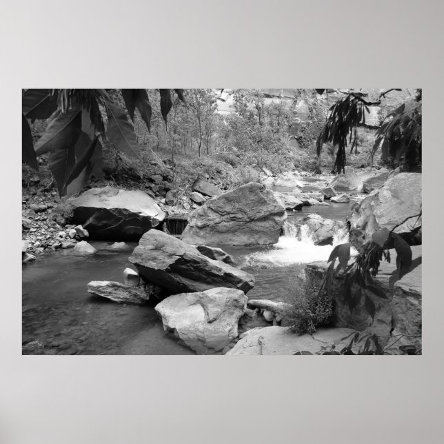 Póster Natureza a preto e branco (Frente)