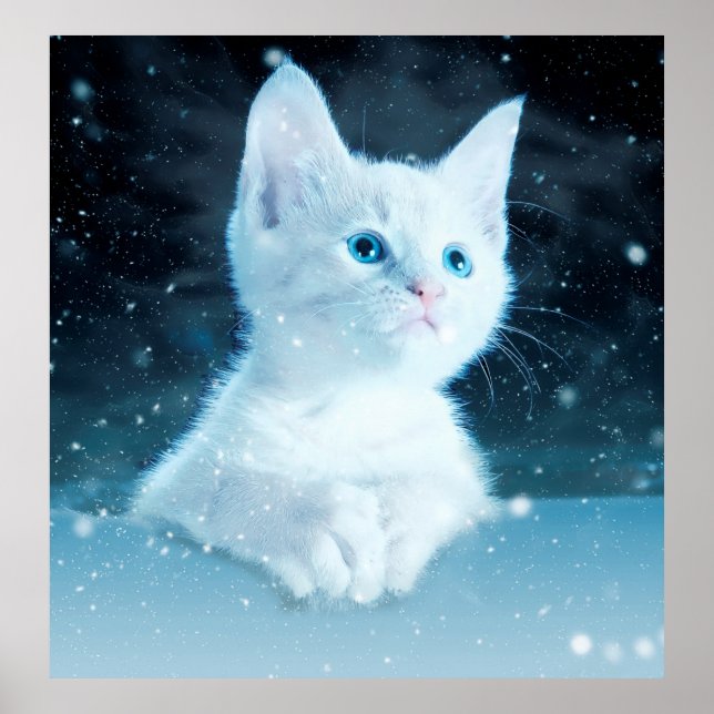 Poster Natureza animal da arte da neve gatinho de gato (Frente)