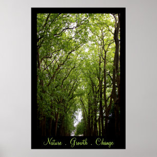 Poster Natureza. Crescimento. Mude.
