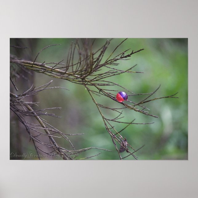 Póster Natureza Do Paintball (Frente)