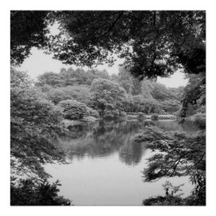 Póster Natureza e lago preto e branco, legal, originais