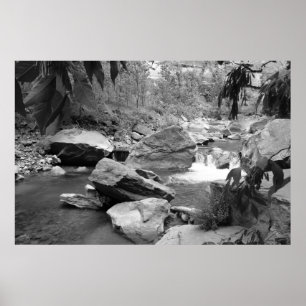 Póster Natureza em preto & no branco