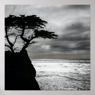 Poster Natureza Fotografia preto e branco