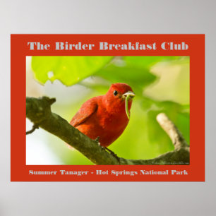 Poster Natureza Fotografia Summer Tanager Birder
