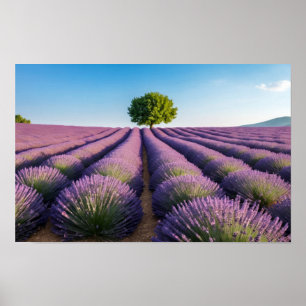 Poster Natureza lavanda no exterior Paisagem pacífica