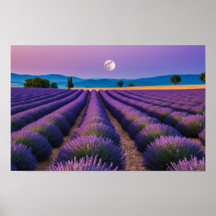 Poster Natureza lavanda no exterior Paisagem pacífica