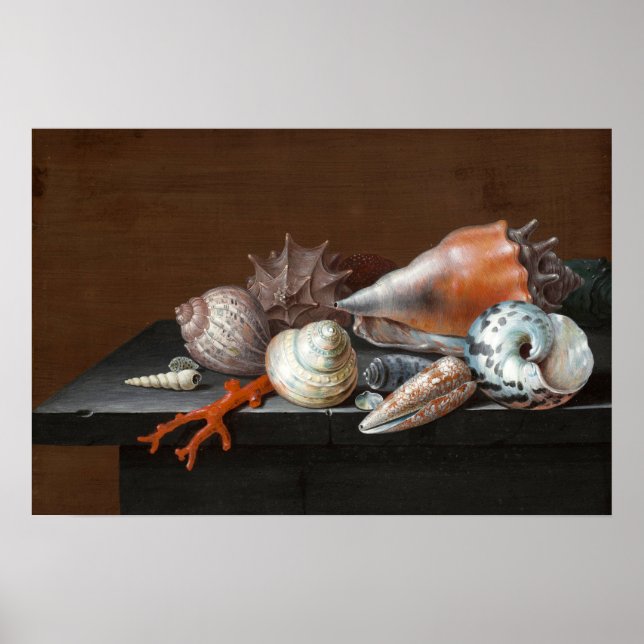 Poster Natureza Morta com Conchas | Johann Jakob Dietzsch (Frente)