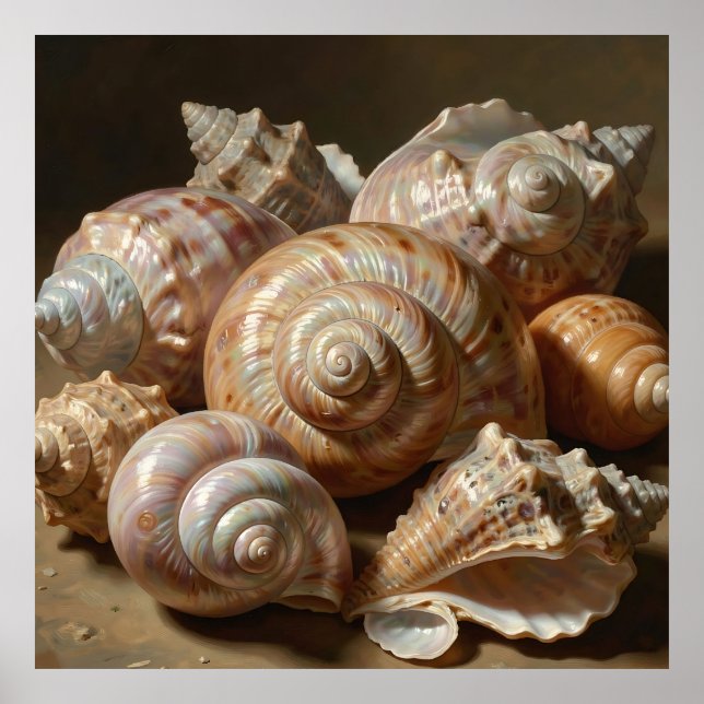 Poster Natureza-Morta Iridescente de Conchas do Mar (Frente)