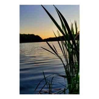 Póster Natureza no seu melhor