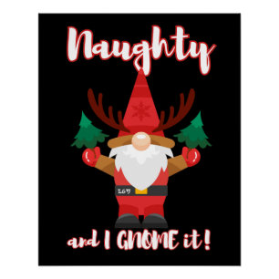 Póster NAUGHTY E EU SABEMOS QUE FOI engraçado.