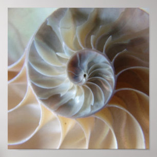 Poster Nautilus interno