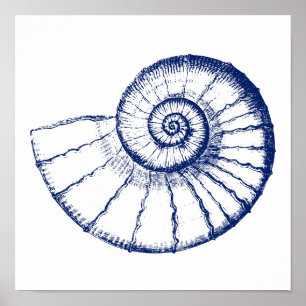 Poster Nautilus Sea Shell Minimalista