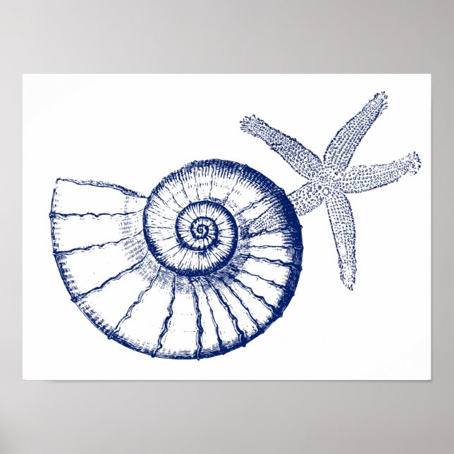 Poster Nautilus Seashell e Starfish Marine Life Personali (Frente)