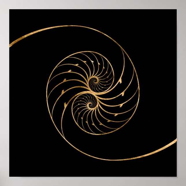 Poster Nautilus Shells - Par do Ouro (Frente)