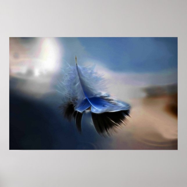 Póster Navegação de penas brancas (Frente)