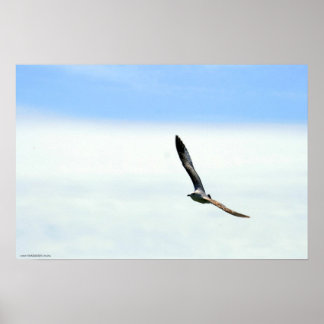 Poster Navegação - Personalizada