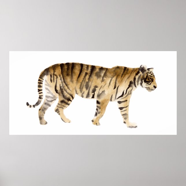 Poster Navegação por Tigre de Aquarela (Frente)