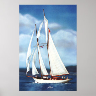 Poster Navigação