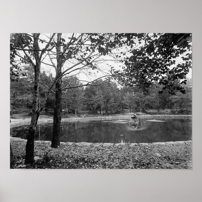 Poster Nay Aug Park Scranton Pa. Pôster (Frente)