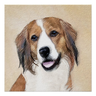 Póster Nederlandse Kooikerhondje - Pintura de Cachorro