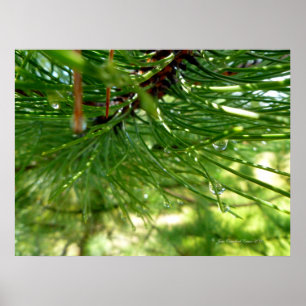 Póster Needles & droplets