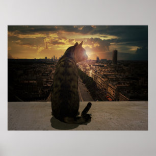 Poster Negligencie