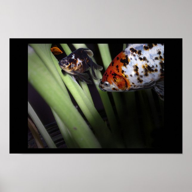 Póster negócio da pesca (Frente)