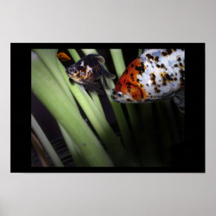 Póster negócio duvidoso