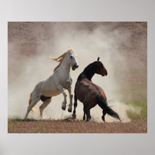 Póster Negócios sujos (Frente)