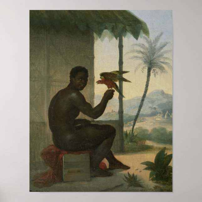 Póster Negro brasileiro com pássaro tropical (Frente)