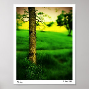Póster Nelson