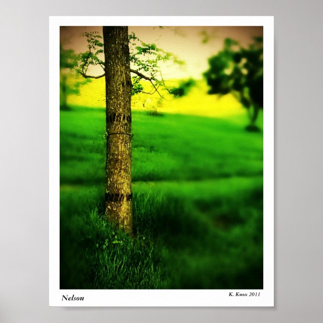 Póster Nelson (Frente)