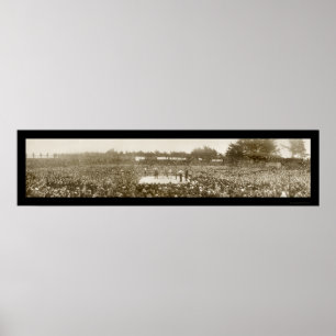 Póster Nelson Britt Boxing Foto 1905