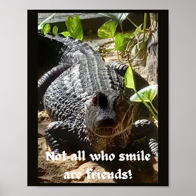 Poster Nem todos os que sorriem são inspiradores do amigo (Frente)