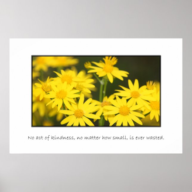 Póster Nenhum ato de bondade é desperdiçado (Frente)