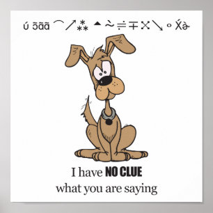 Poster Nenhum indício