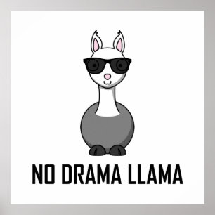 Póster Nenhuns óculos de sol do lama do drama